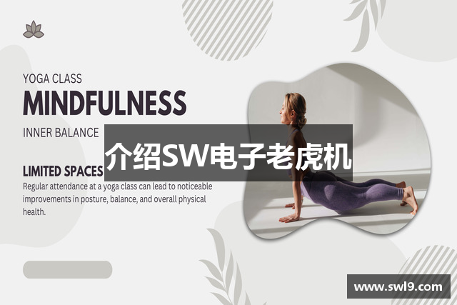 介绍SW电子老虎机